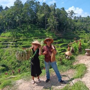 Ubud Tour: Cultural, Waterfall, Nature Escape
