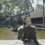 Mason Elephant Park