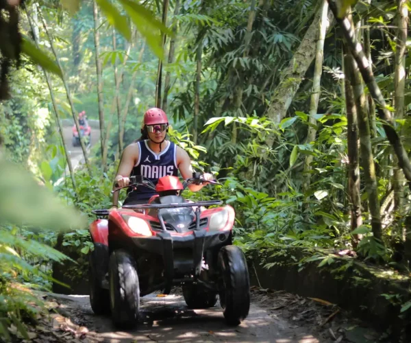 atv (17)