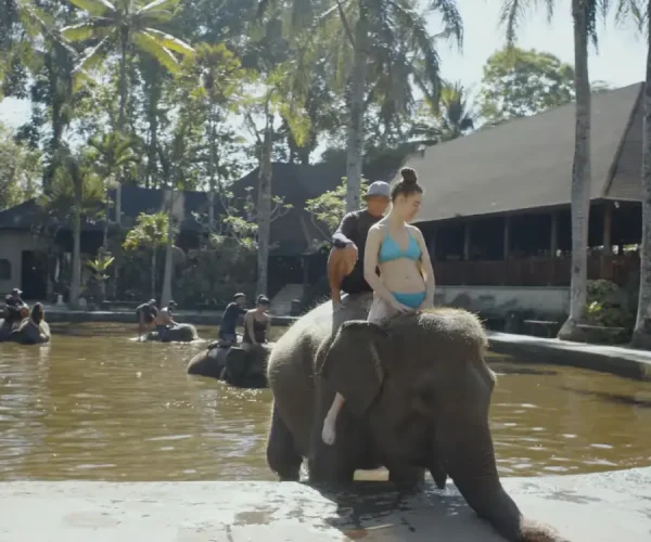 mason elephant park (2)