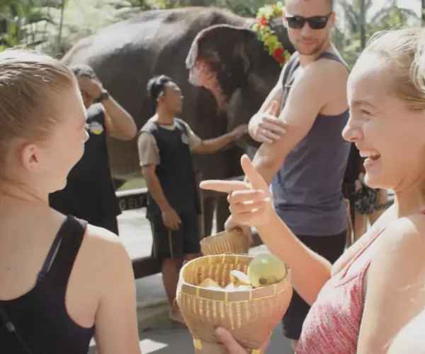 mason elephant park (3)